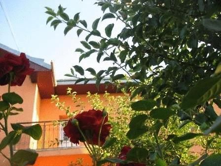 Lary Hostel Сучеава Екстериор снимка