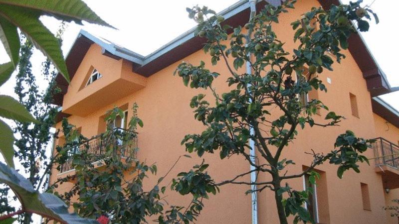 Lary Hostel Сучеава Екстериор снимка