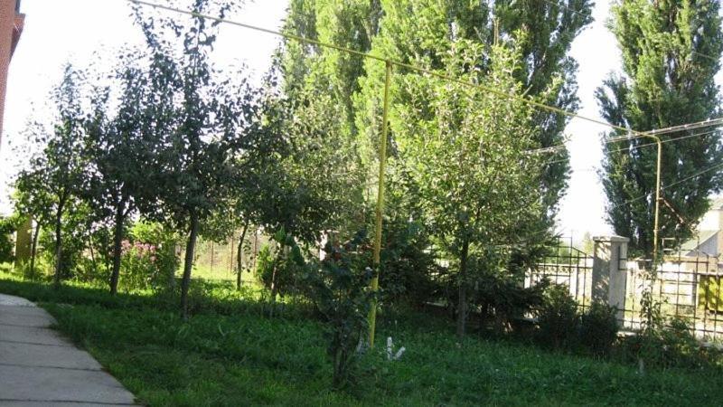 Lary Hostel Сучеава Екстериор снимка