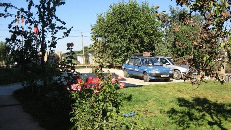 Lary Hostel Сучеава Екстериор снимка