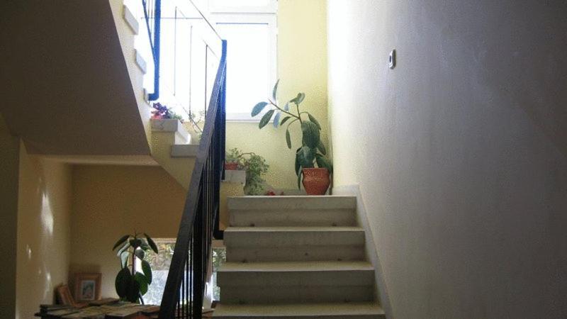 Lary Hostel Сучеава Екстериор снимка