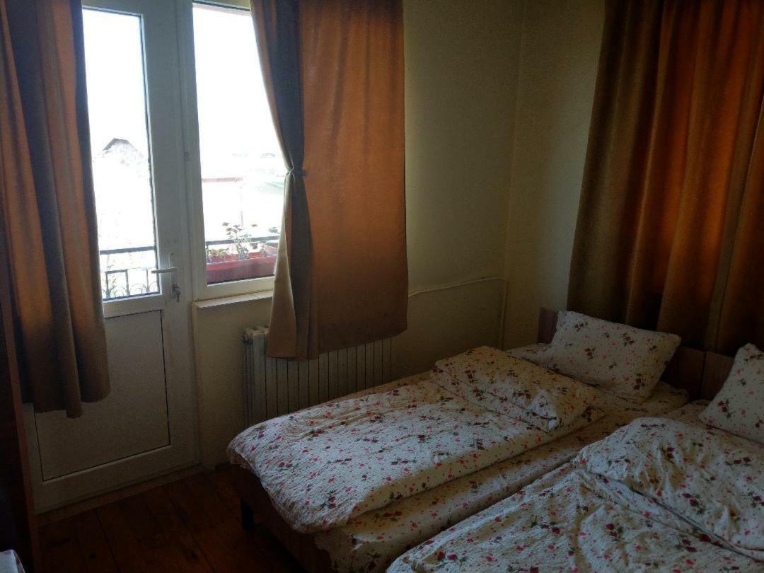 Lary Hostel Сучеава Екстериор снимка