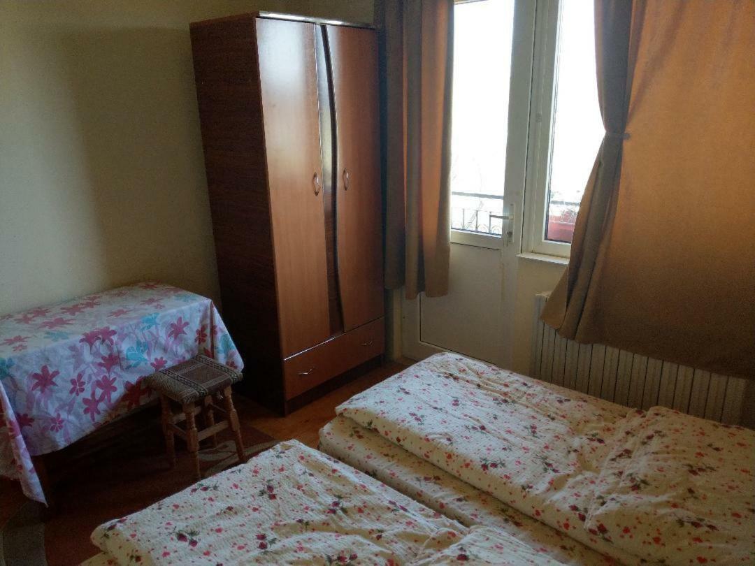 Lary Hostel Сучеава Екстериор снимка